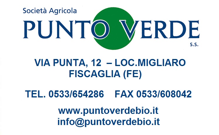 06_Punto Verde.jpg